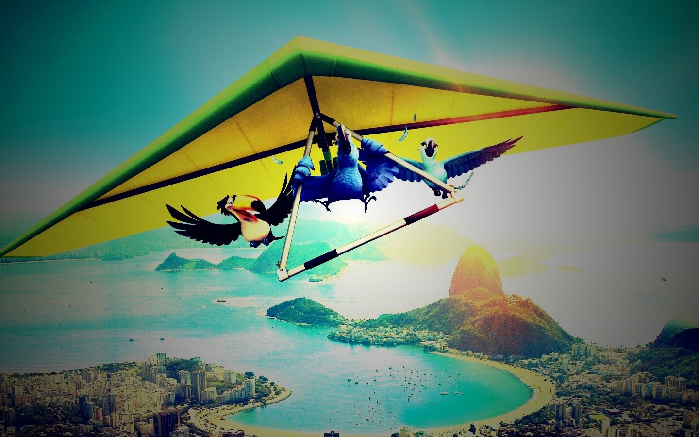 Герои мультфильма Рио обои