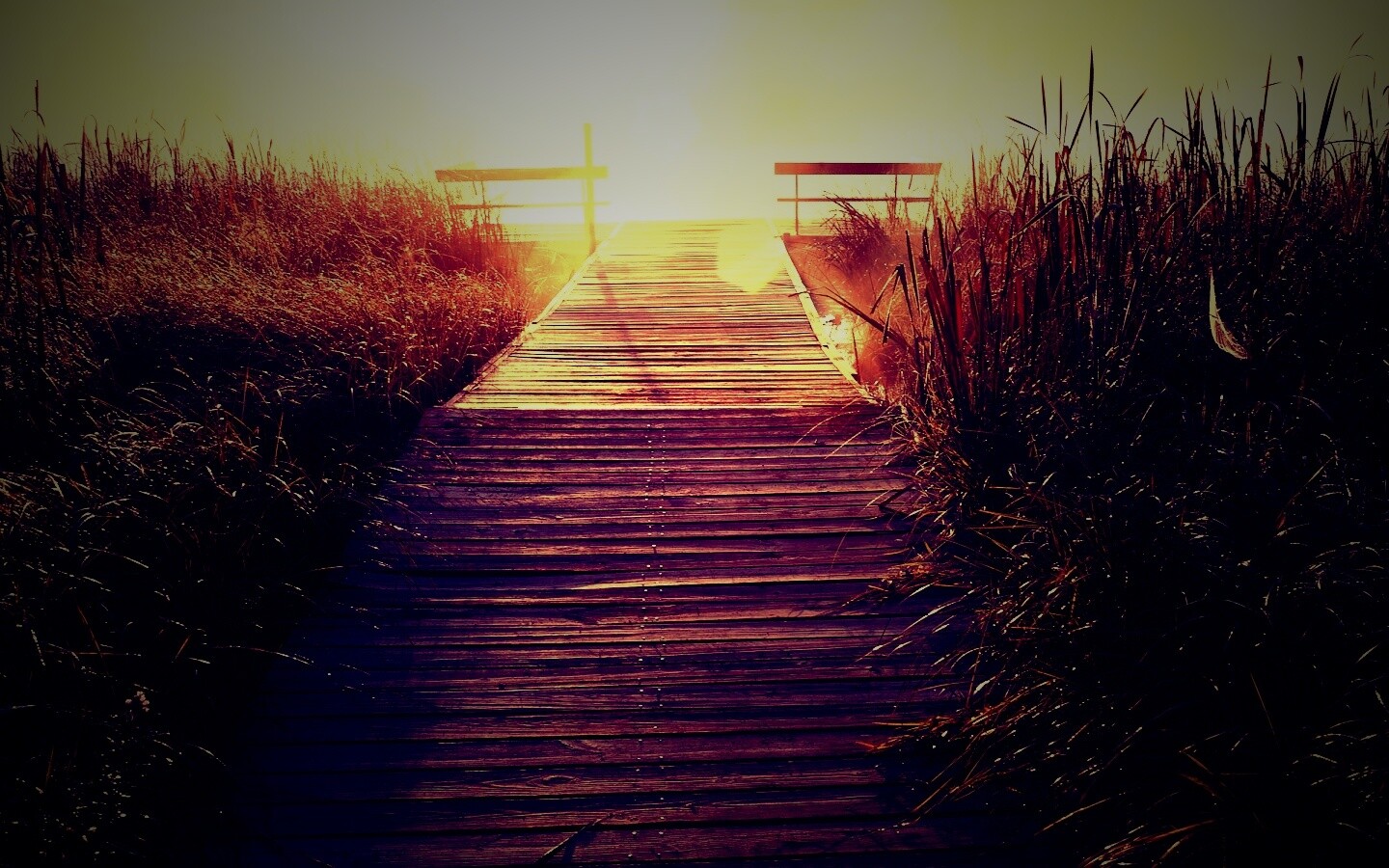 Выход к реке обои