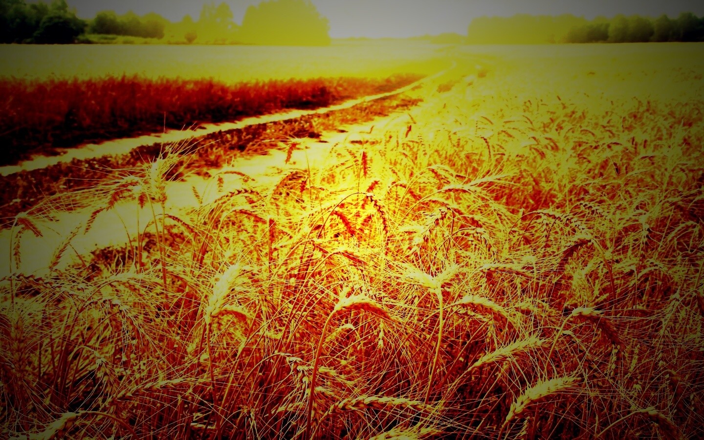 Речка среди поля обои