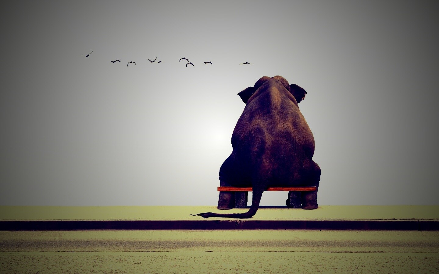 Слон на табуретке обои