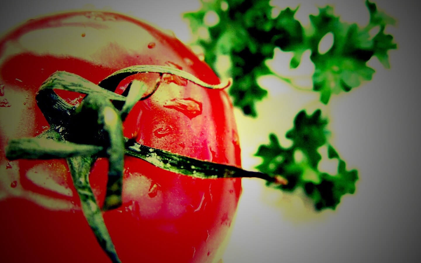 Свежая помидорка обои