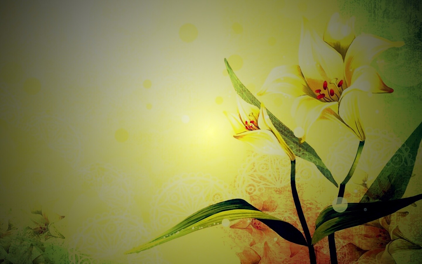 Красивое изображение лилии обои