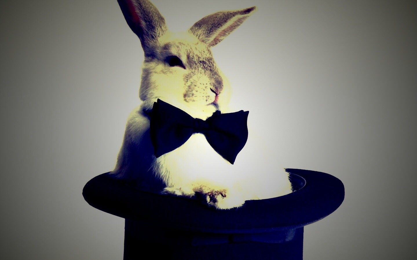Кролик в цилиндре фокусника обои
