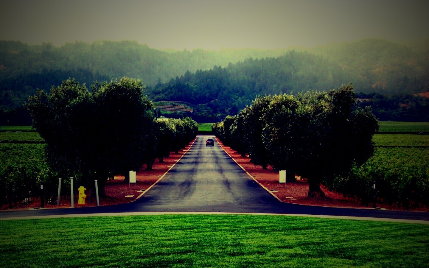 Сельский пейзаж обои