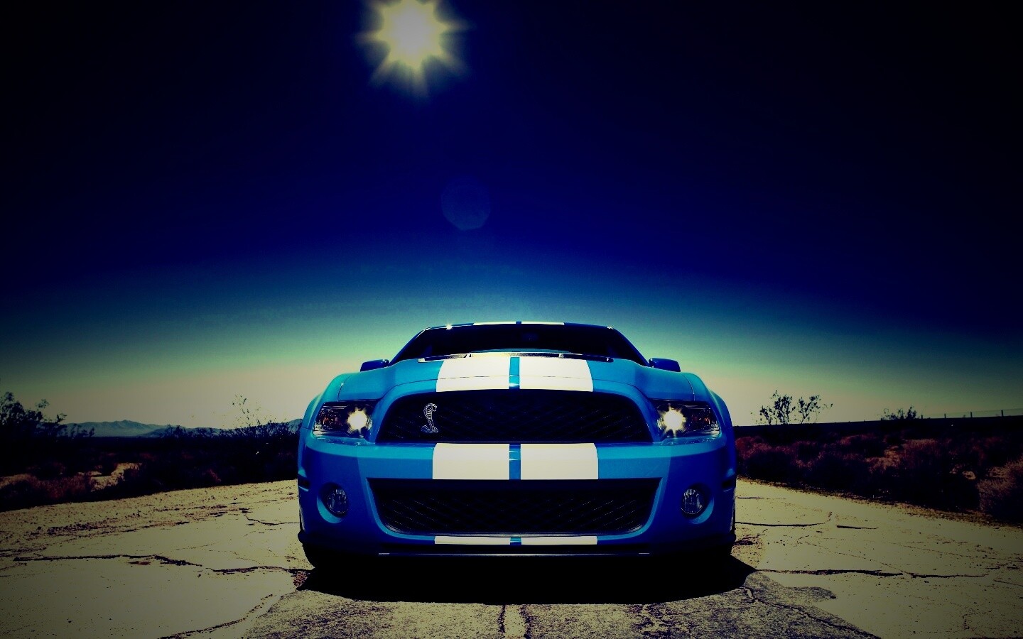 Форд Шелби обои