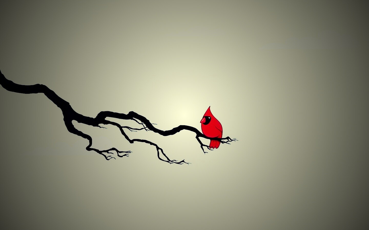 Красная птица на ветке обои