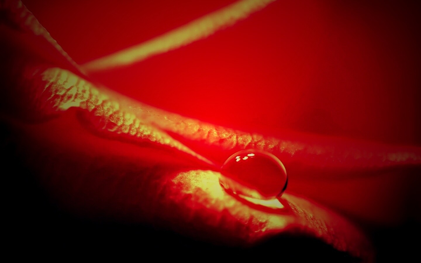 Капелька обои