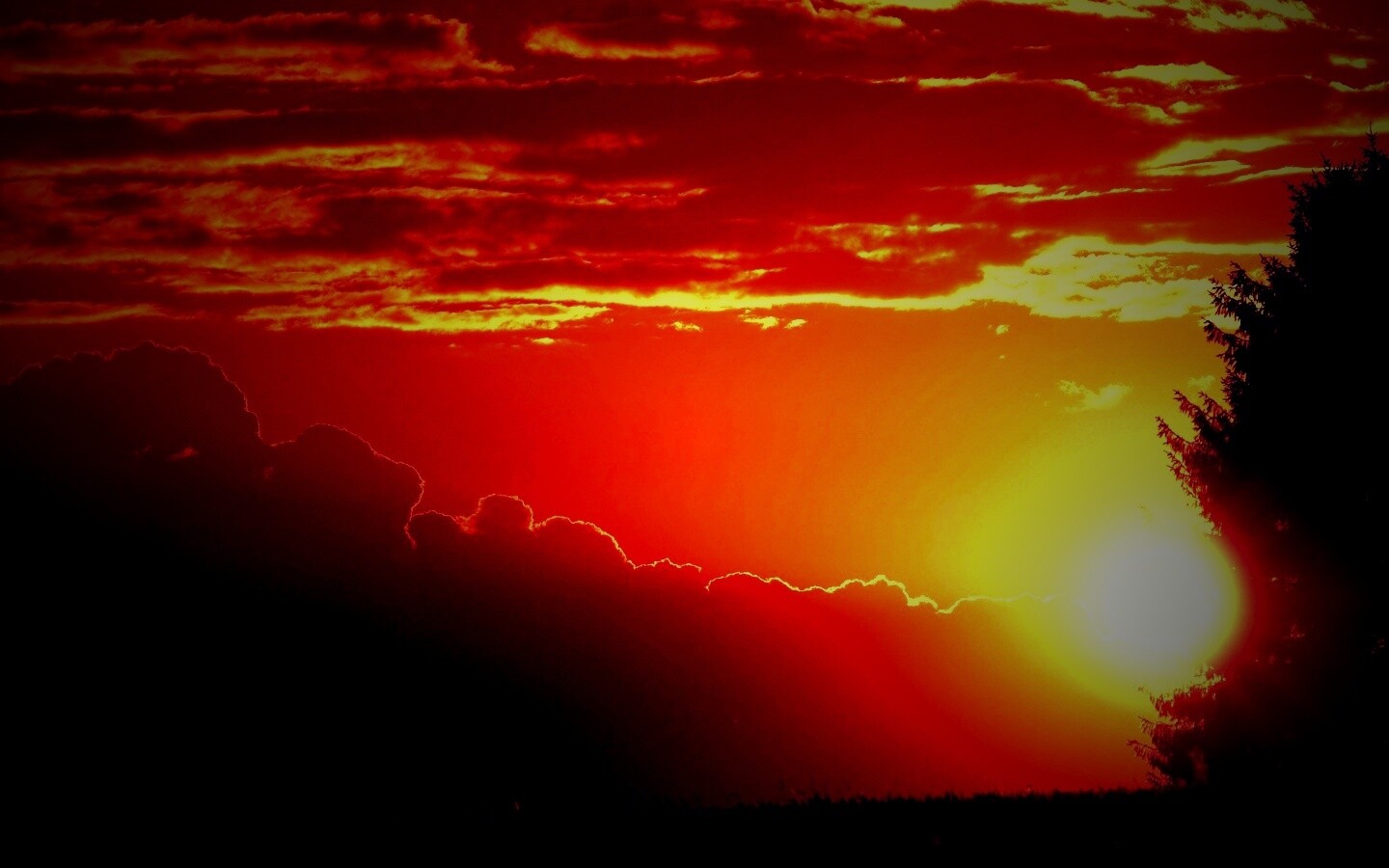 Теплый закат над полем обои