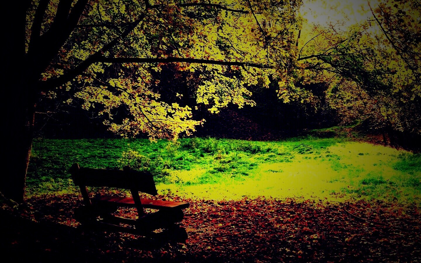 Скамейка под деревом обои