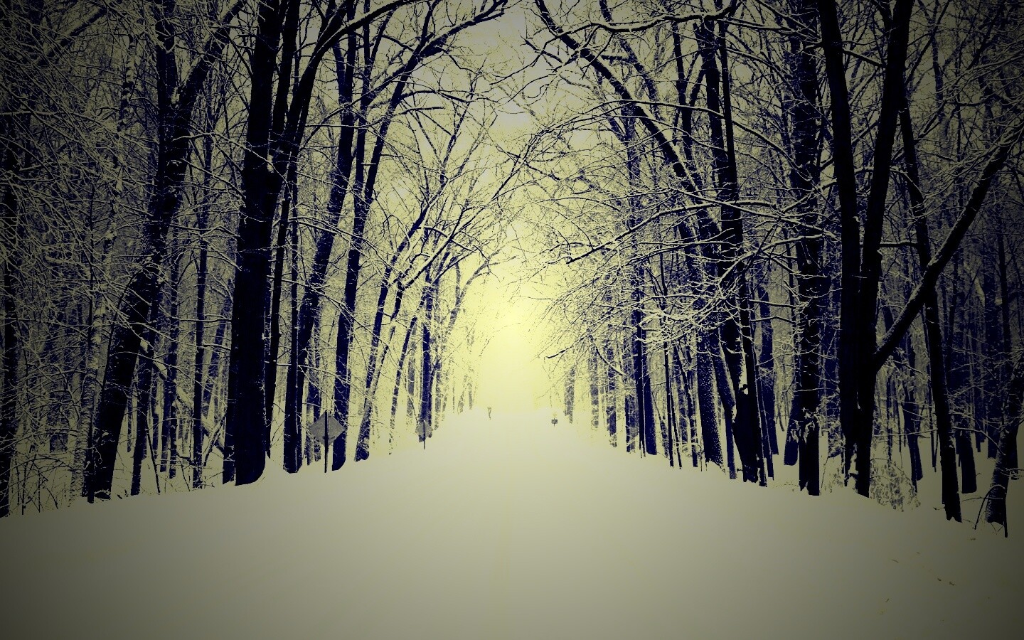 Дорога зимой в парке обои