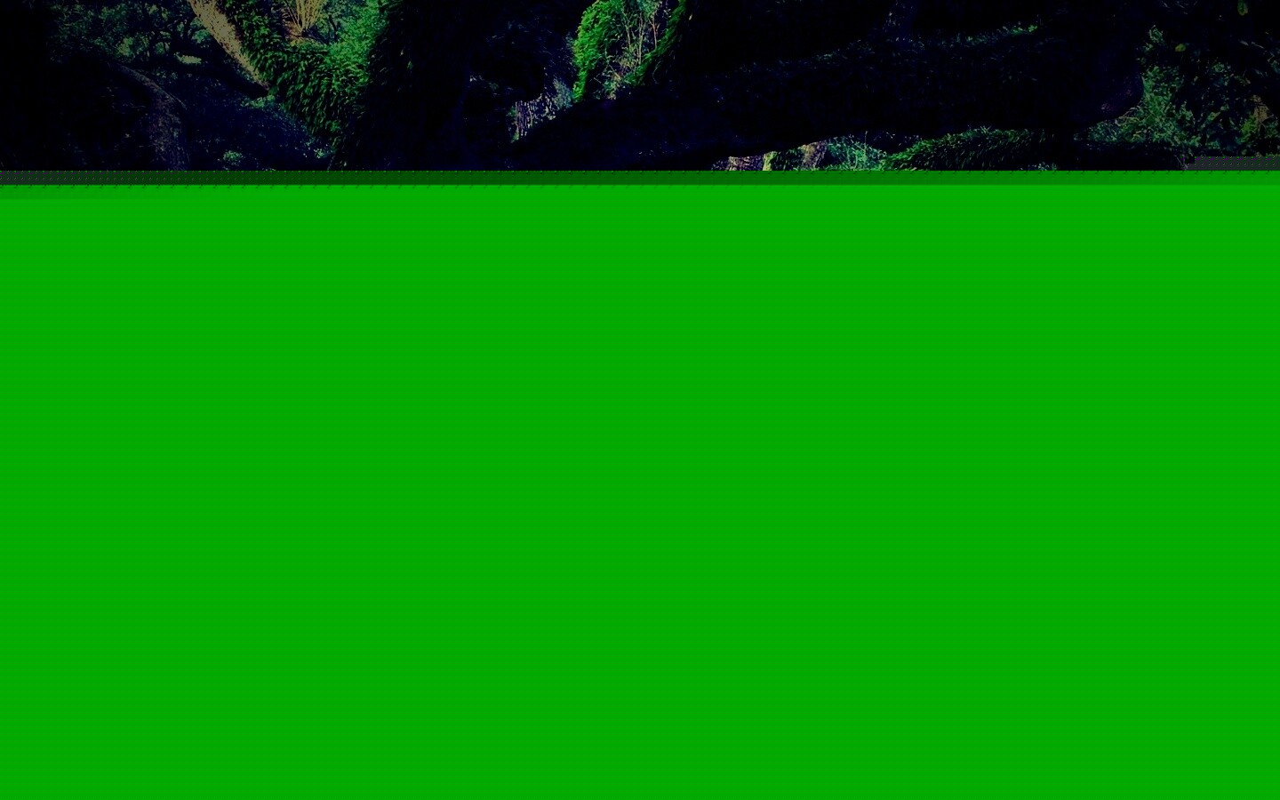 Деревья обои