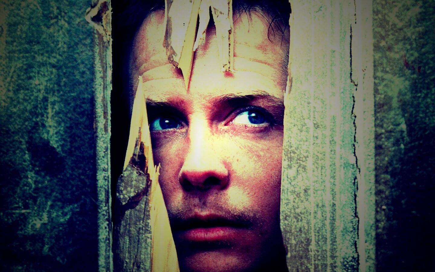 Страшилы обои