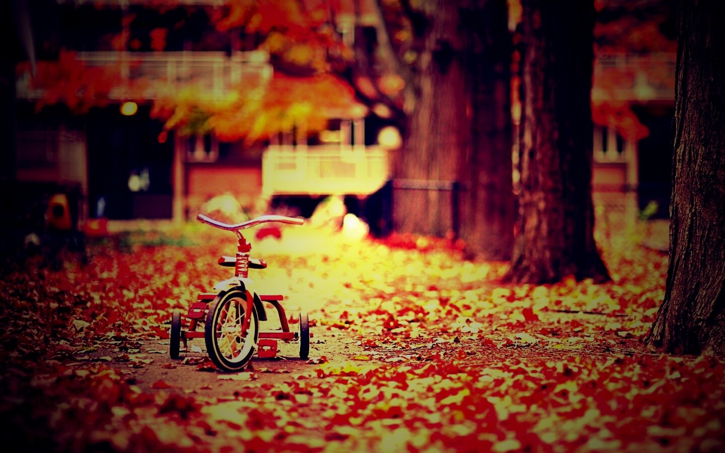 Трёхколёсный друг на осенней дорожке обои