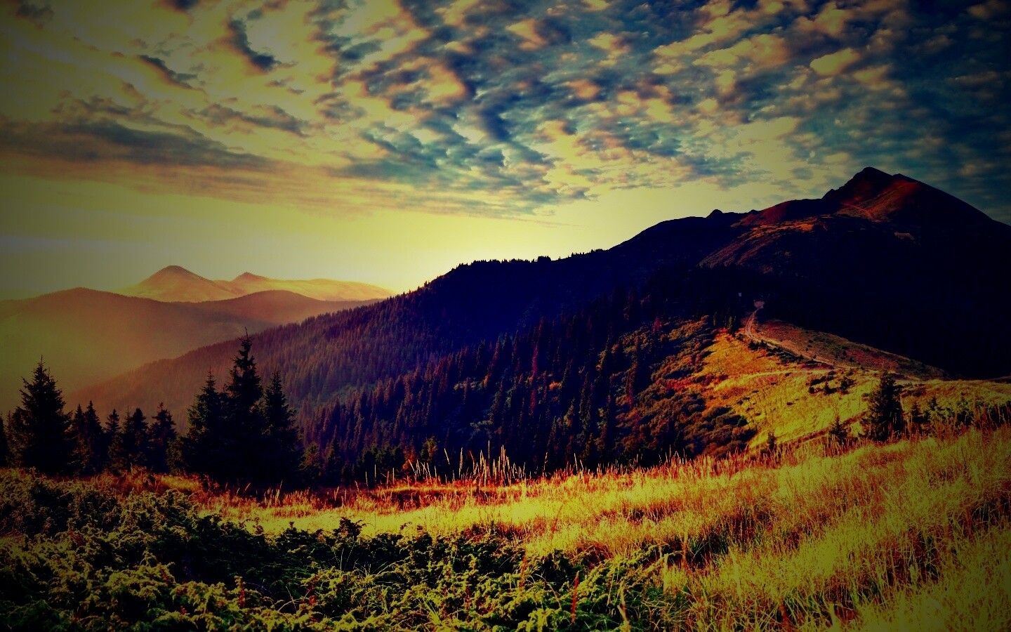 Предгорье обои