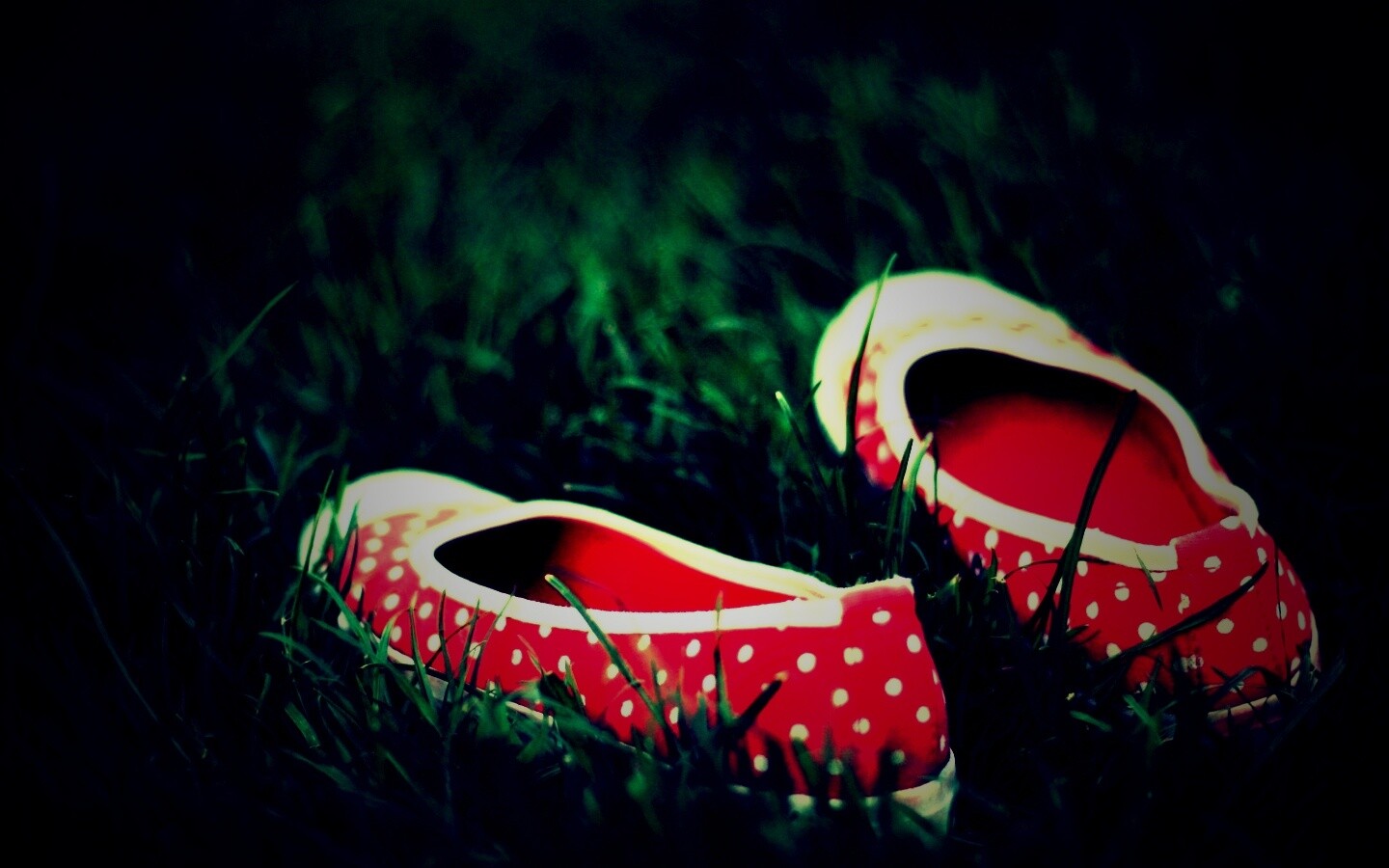 Красные тапки в горошек обои