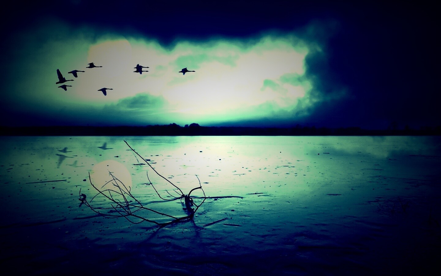 Полет птиц над озером обои