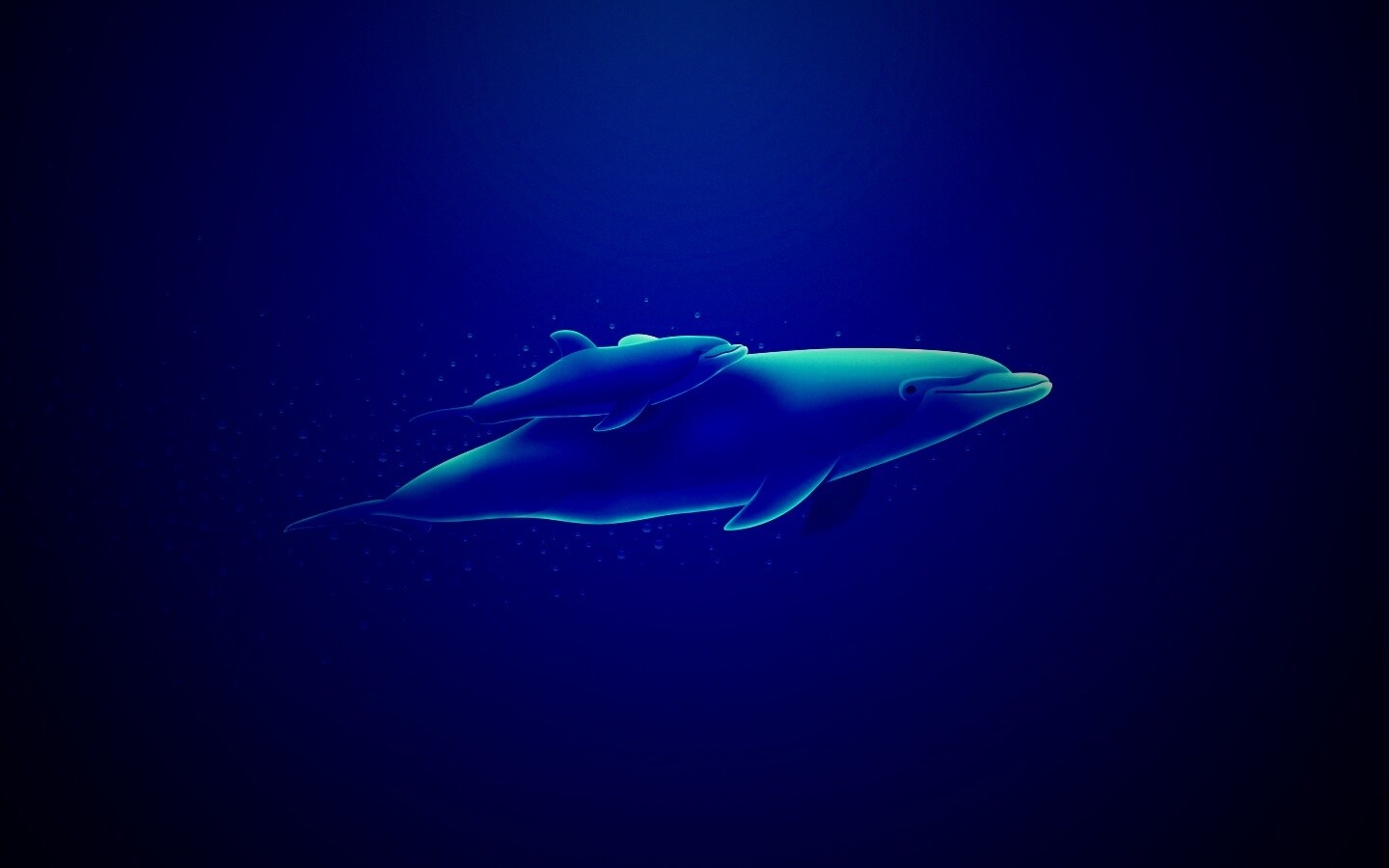 Дельфин и дельфиненок обои