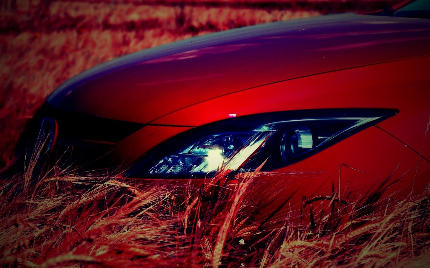 Мазда в пшенице обои