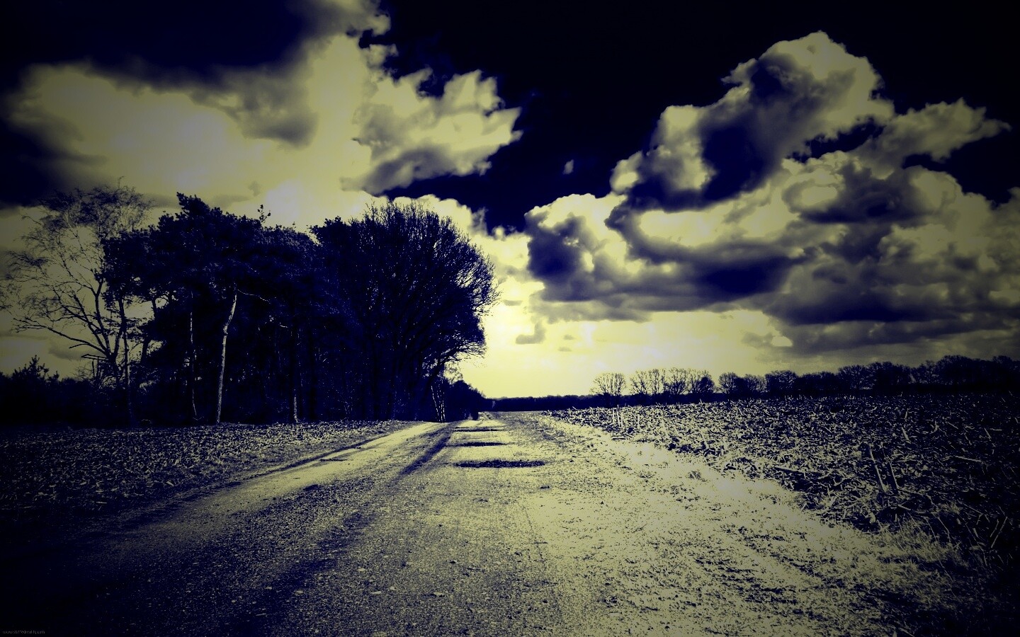 Дорога через поле обои