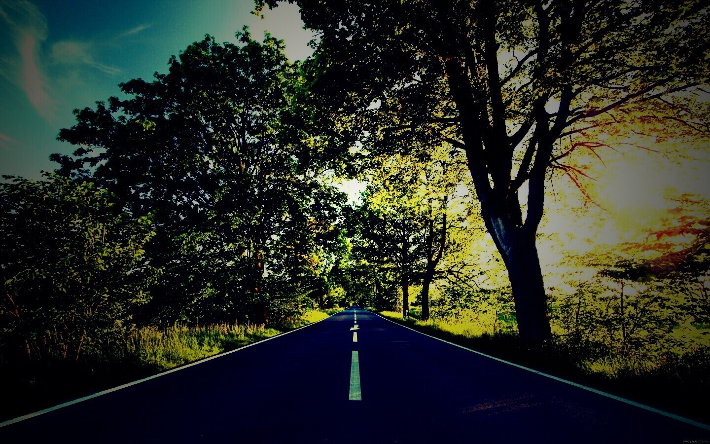Прямая дорога обои