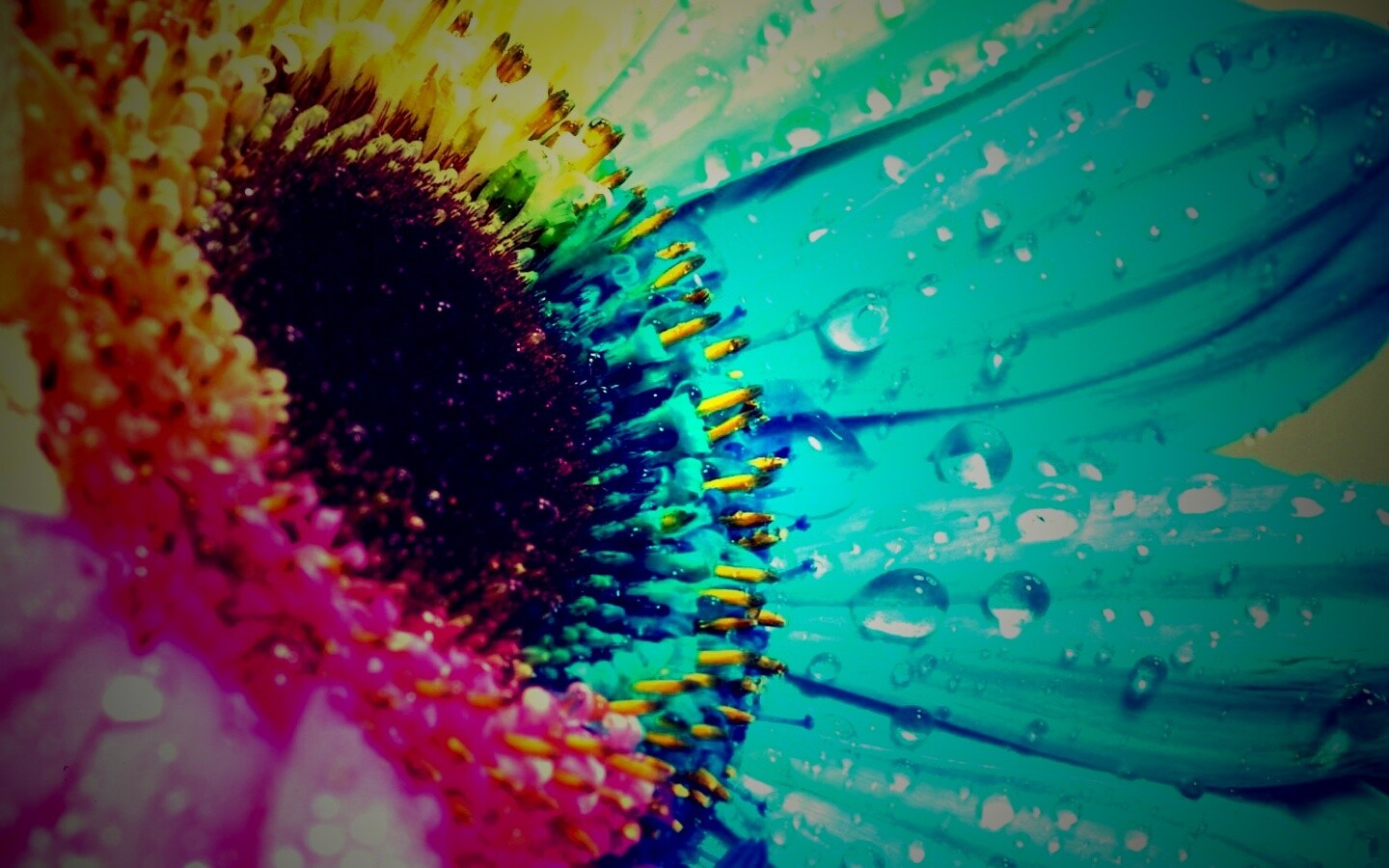 Цветик семицветик обои