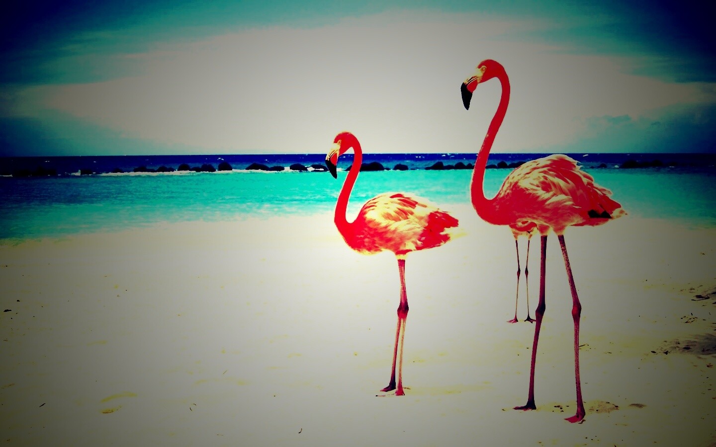Розовые фламинго на пляже обои