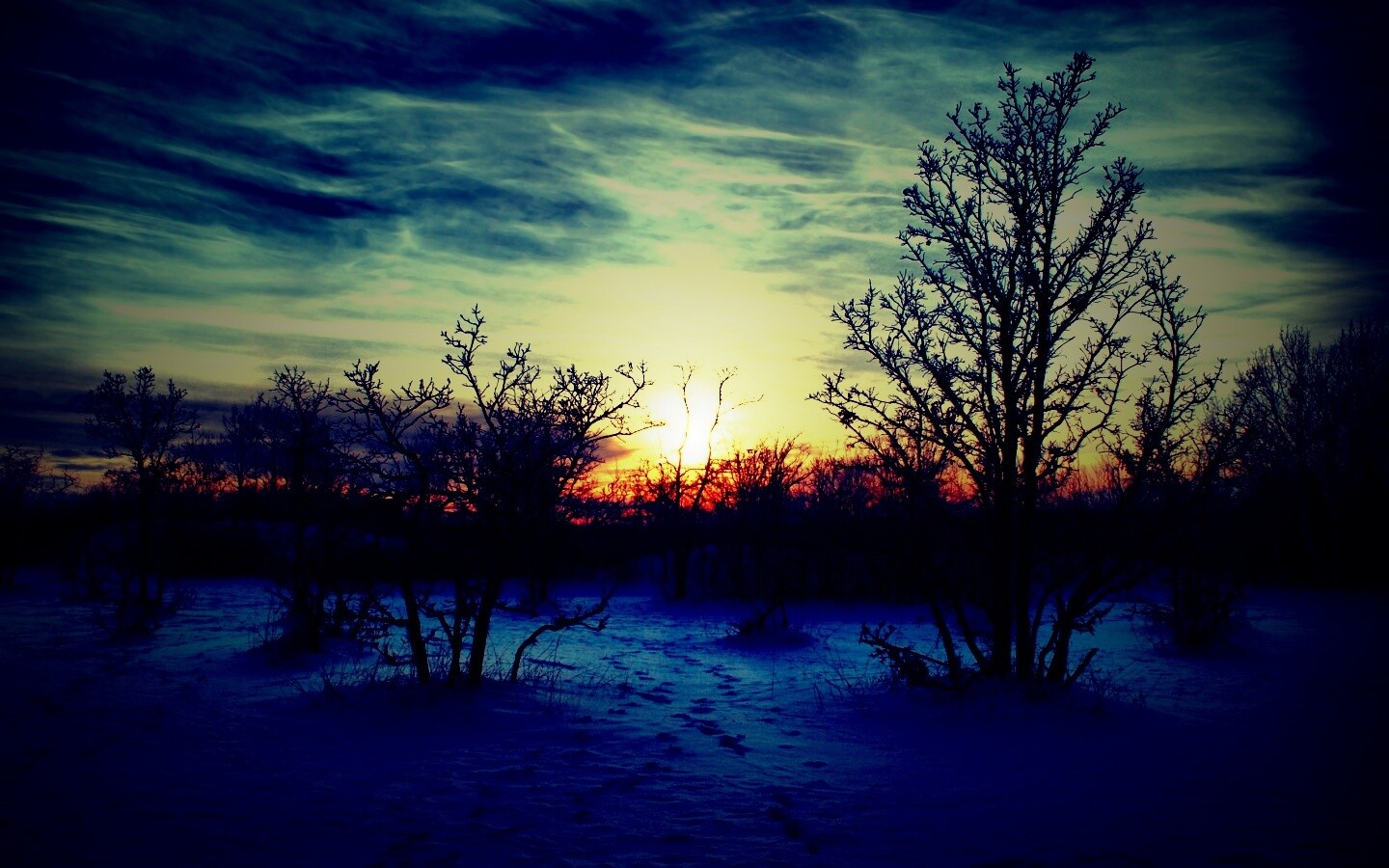 Закат в зимнем лесу обои