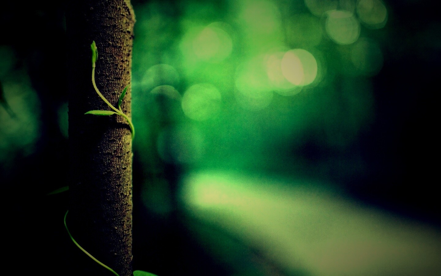 Стебелек на стволе деревца обои