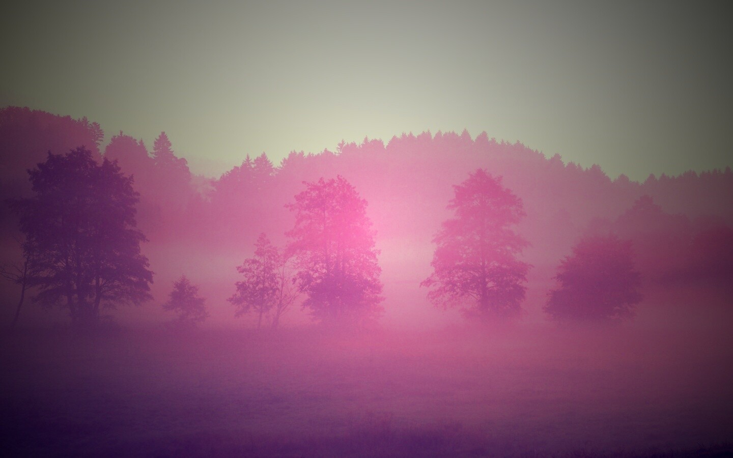 Розовый лес обои