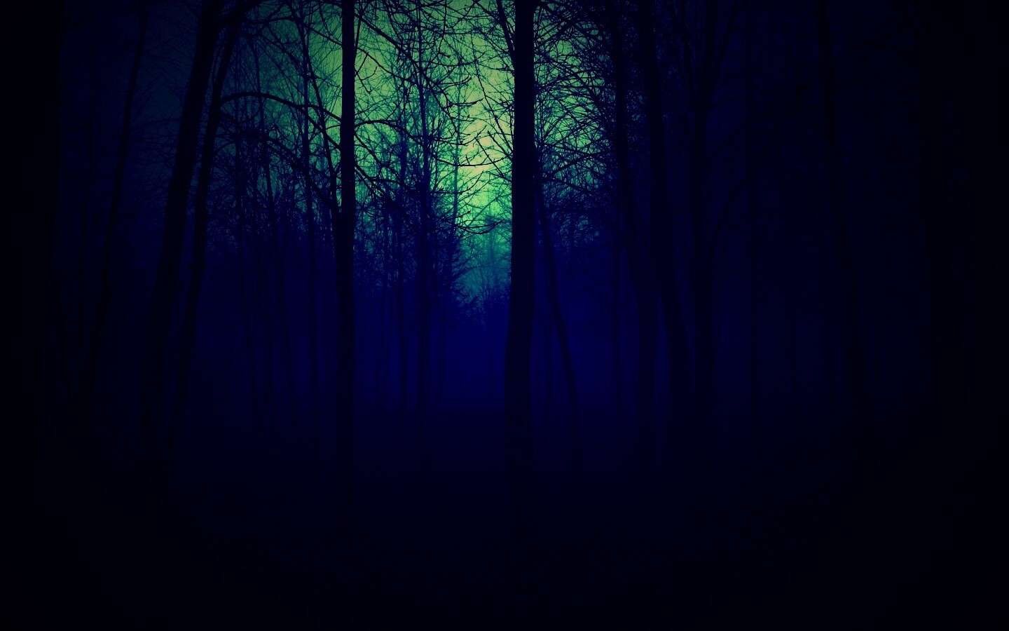 Страшный туманный лес обои