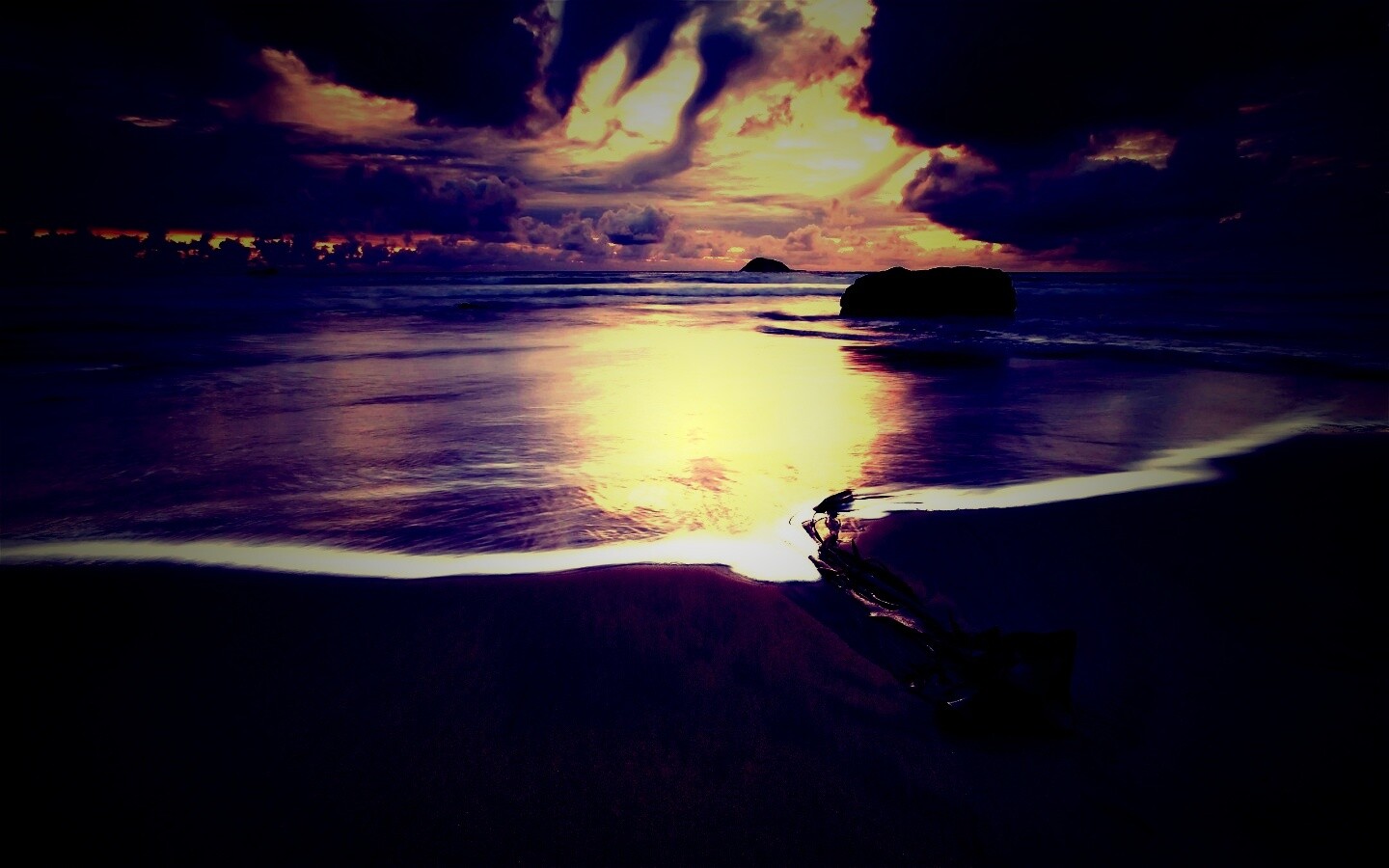 Коряга на пляже обои