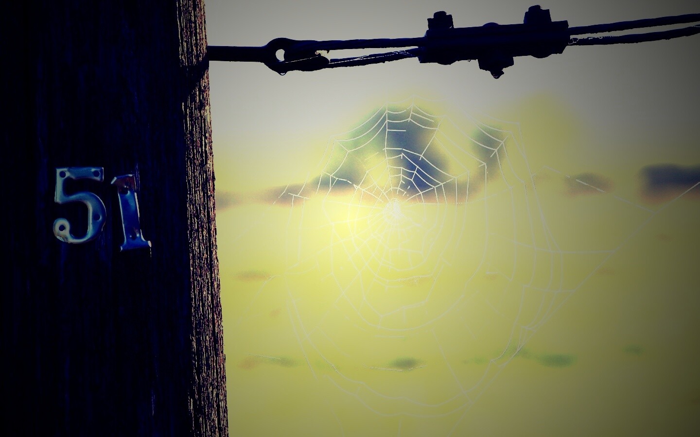 Паутина 51 обои