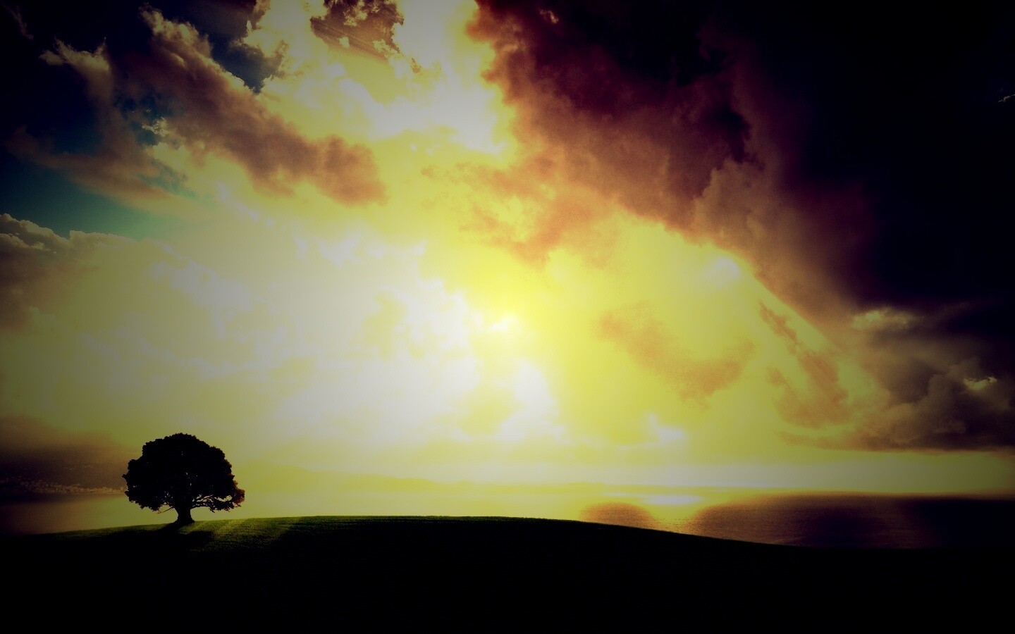 Холм и дерево обои