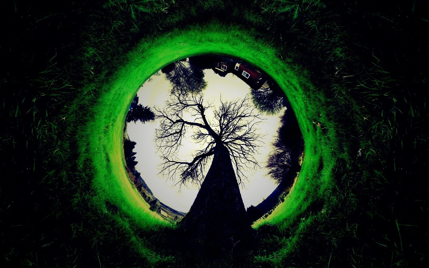 Другой взгляд на мир обои