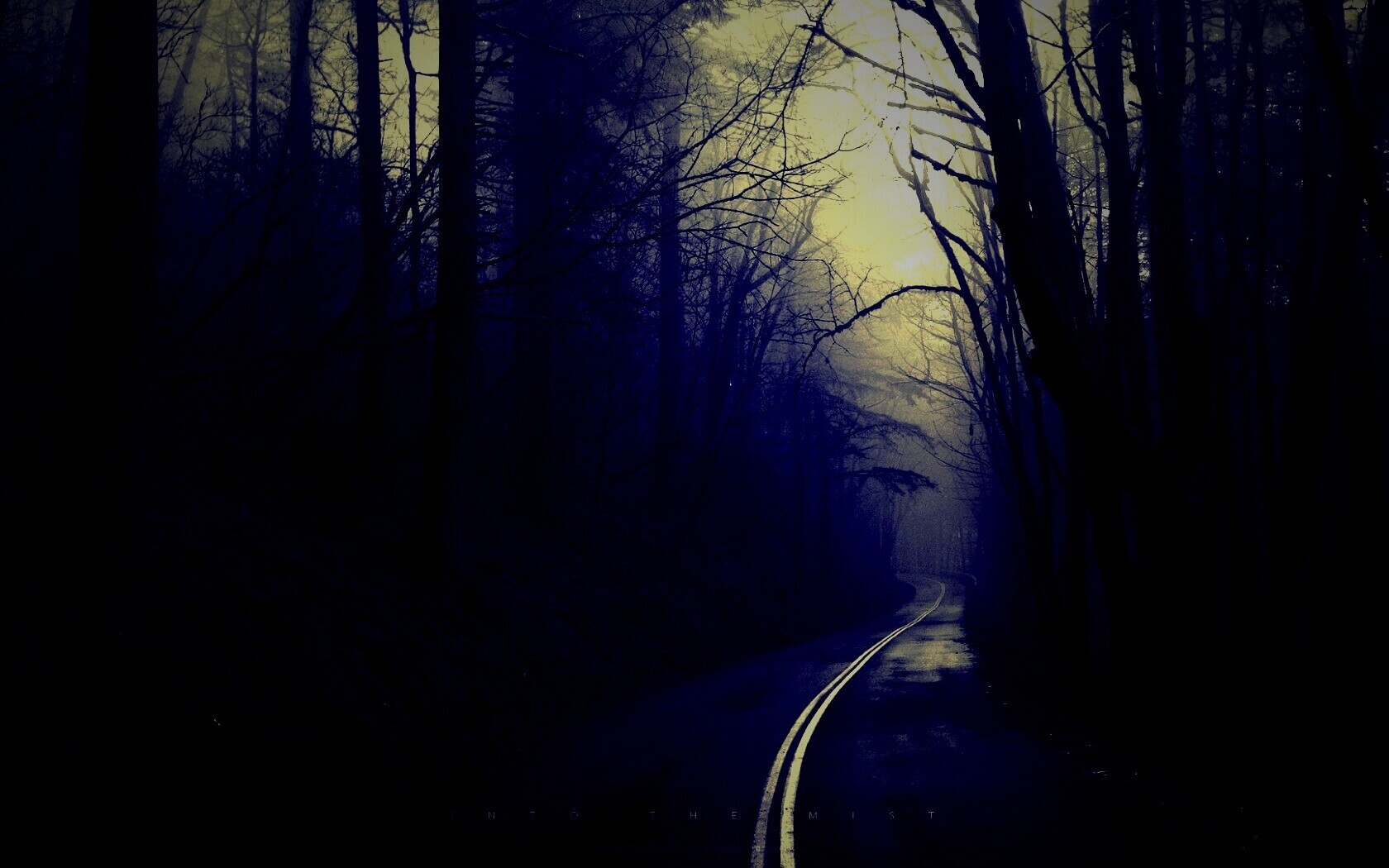 В туман обои