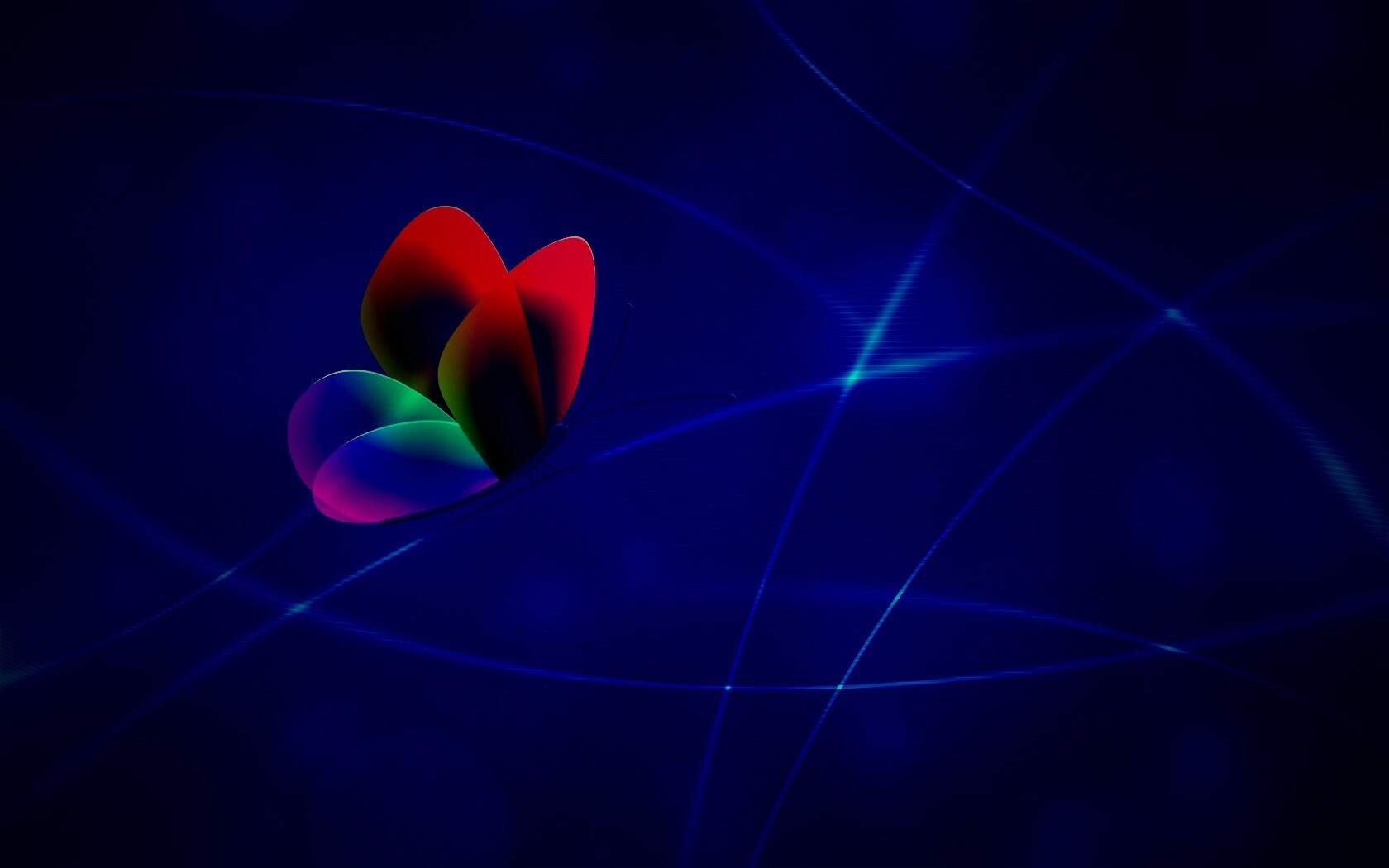 Бабочка с радужными крыльями обои