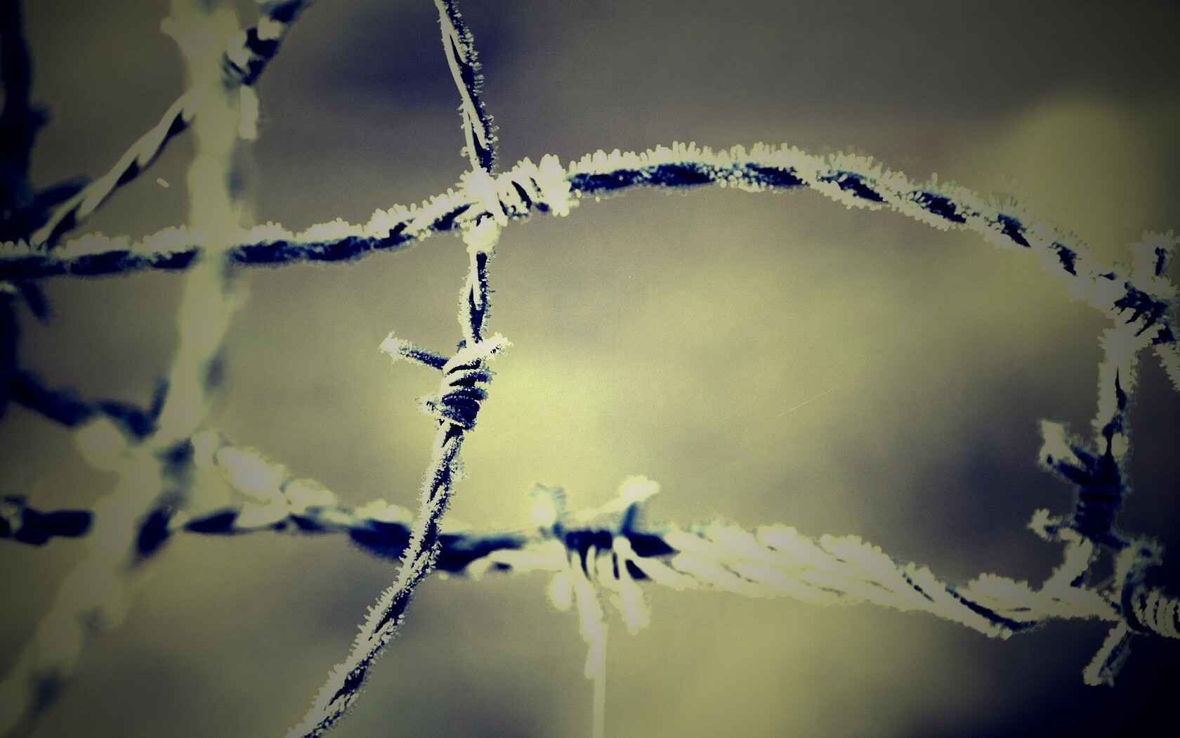 Замерзшая колючая проволока обои