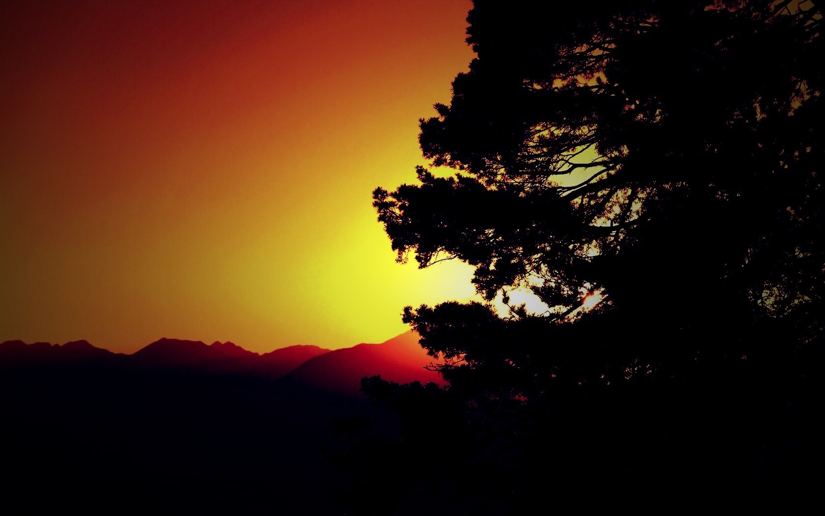 Силуэт дерева на закате обои