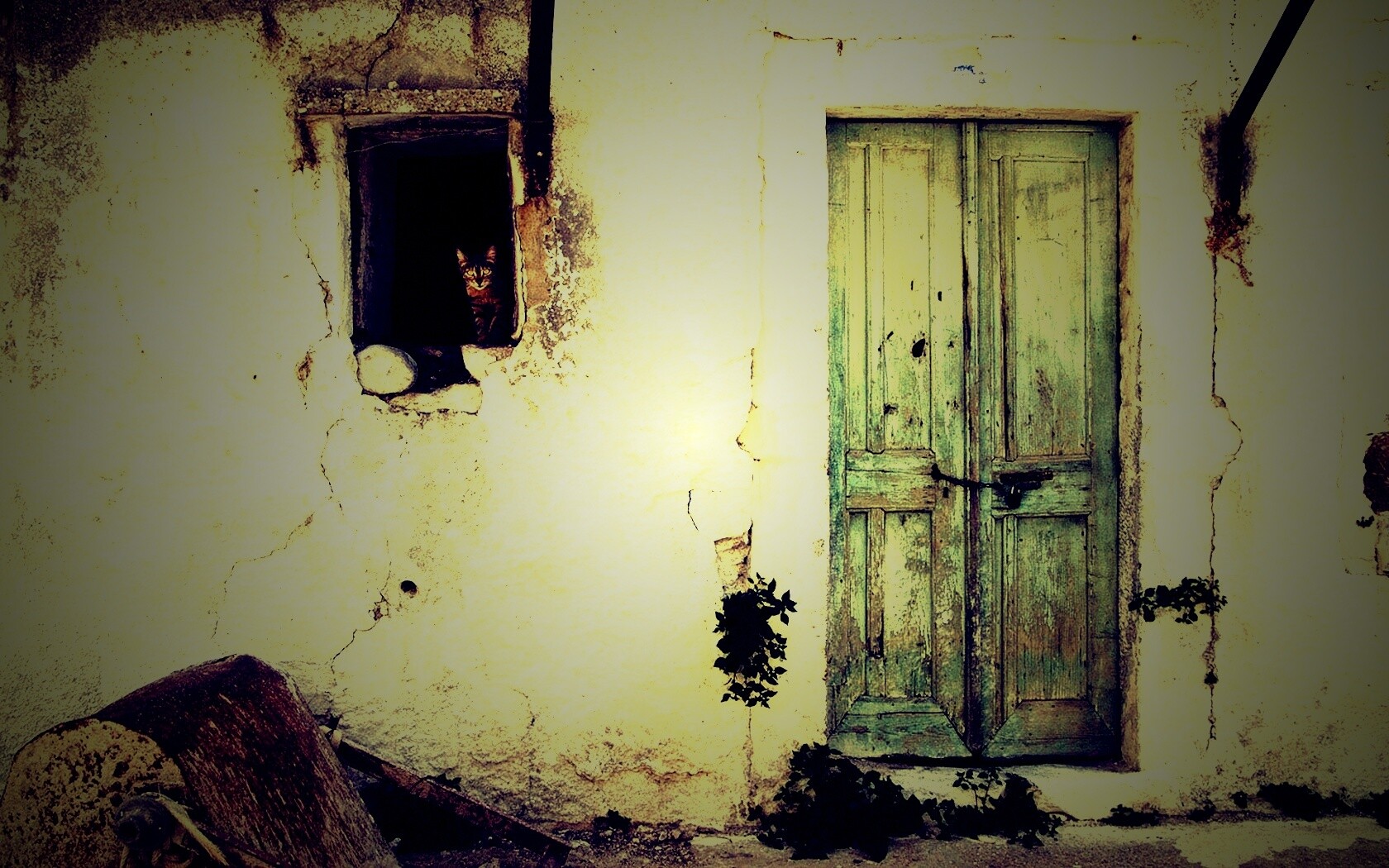 Кот выглядывает из разрушенного дома обои