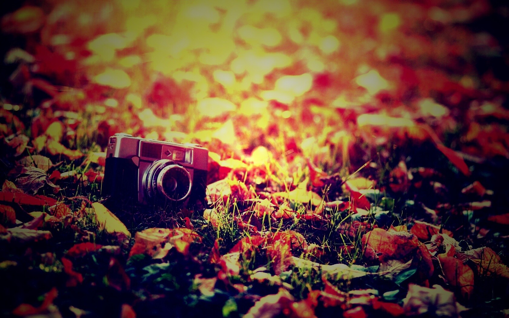 Старый фотоаппарат в траве обои