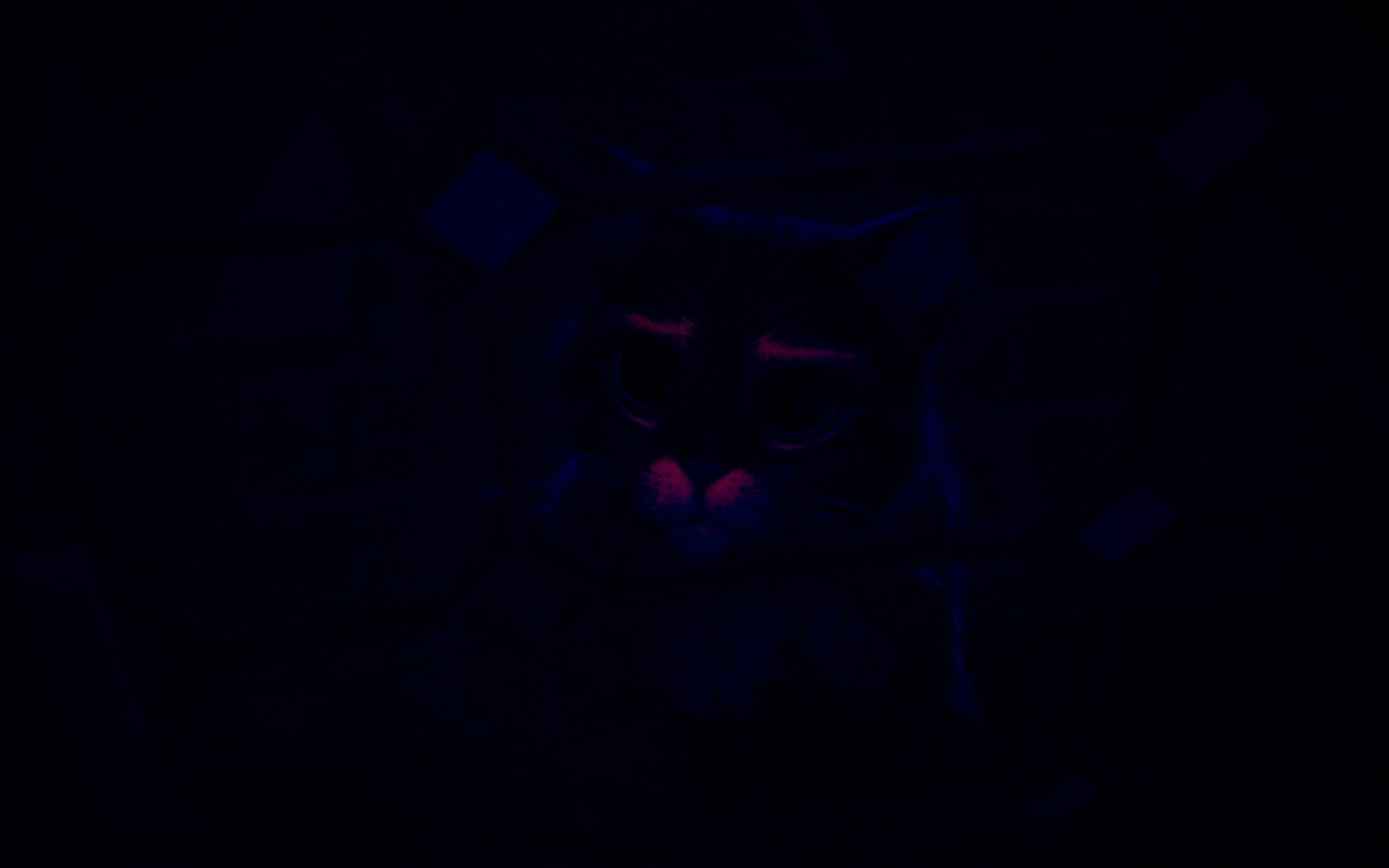 Кот в сапогах обои