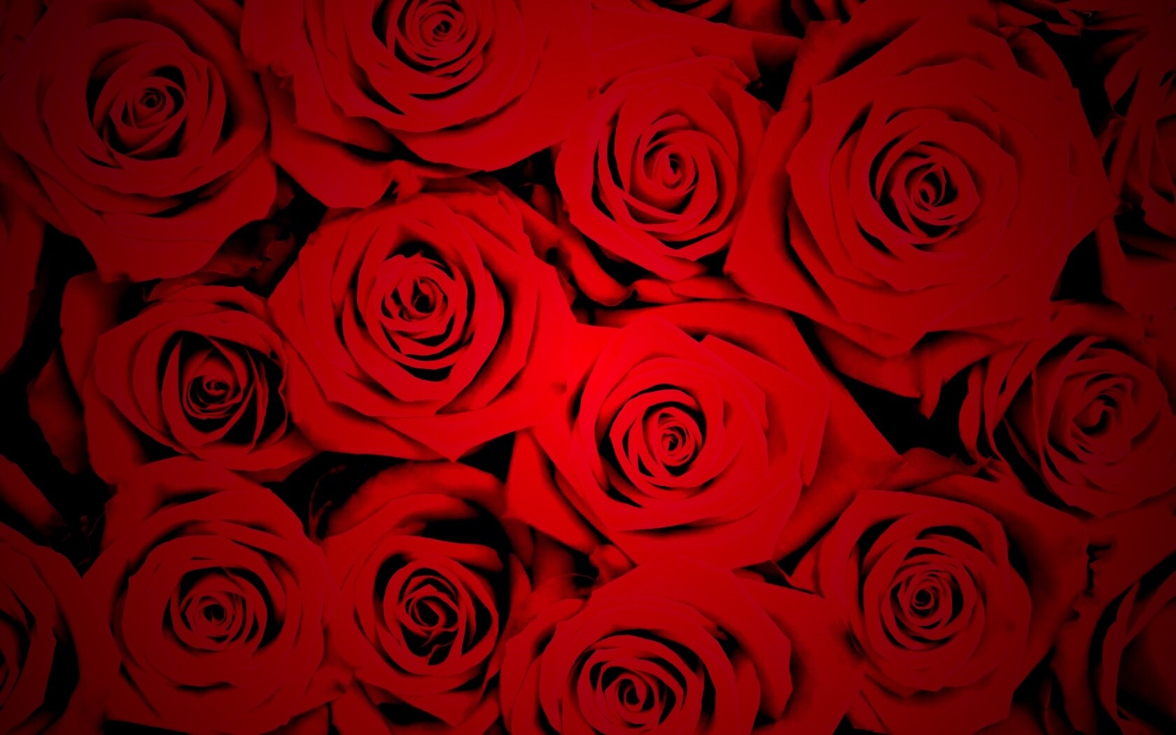 Букет красных роз обои