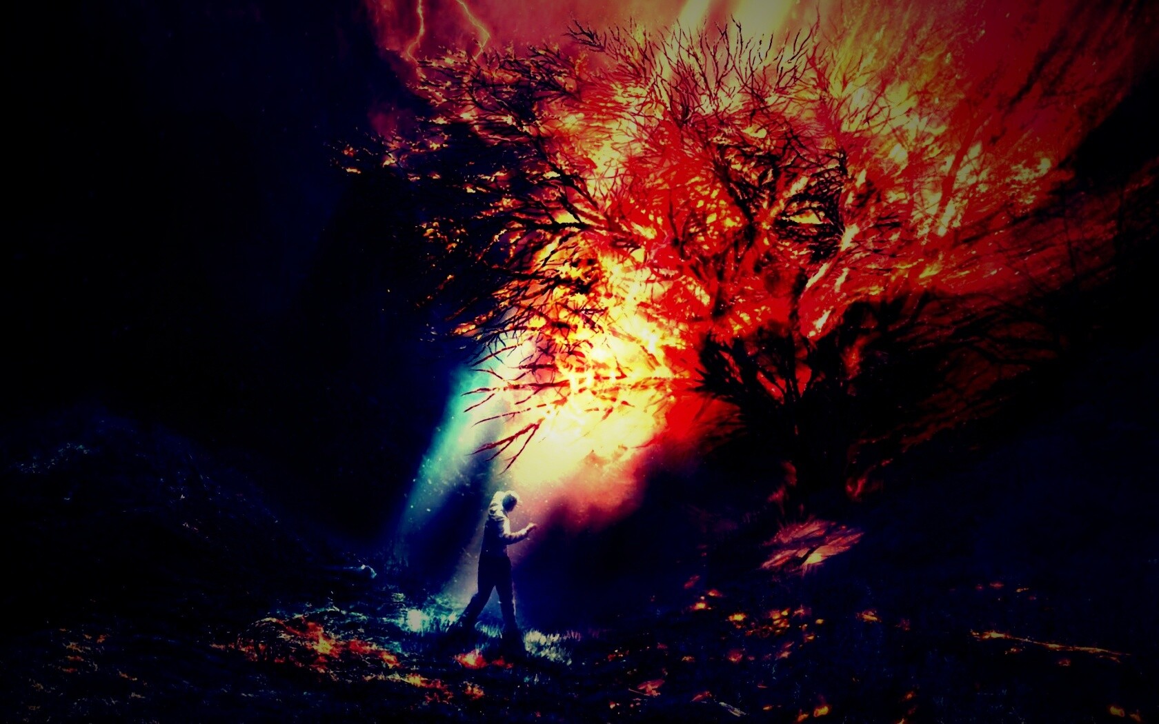 Горящее дерево обои