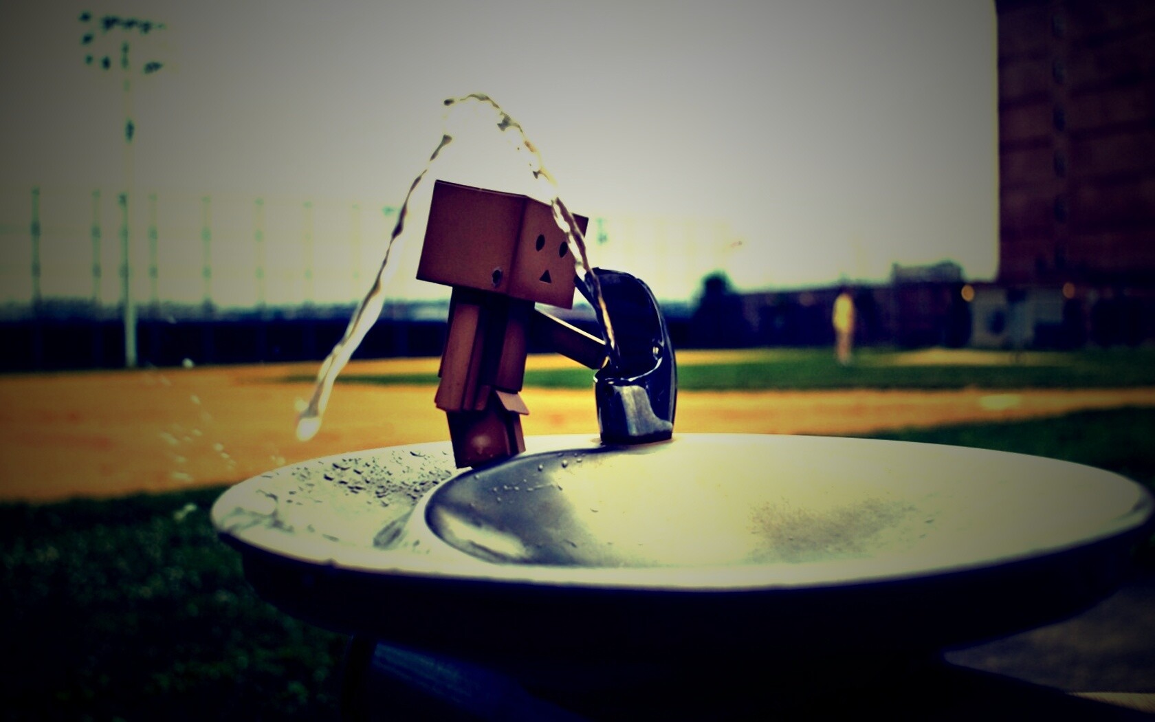 Дандо пьет в воду из фонтанчика обои