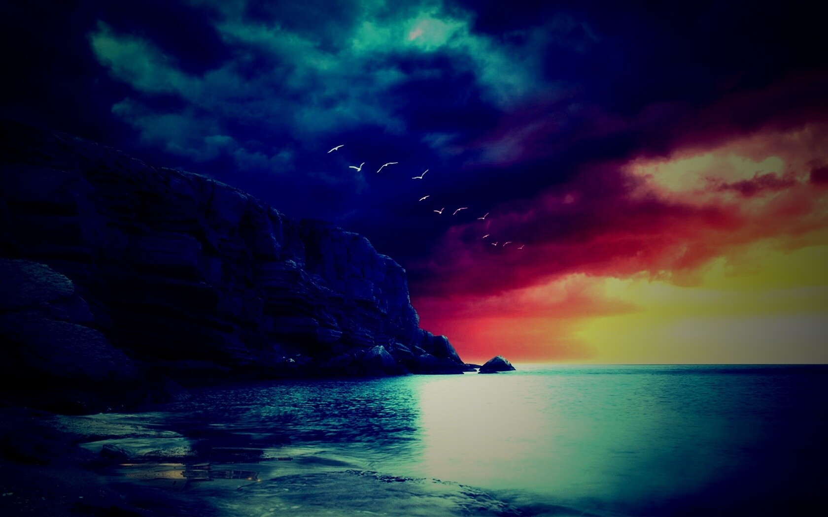 Чайки над скалами обои