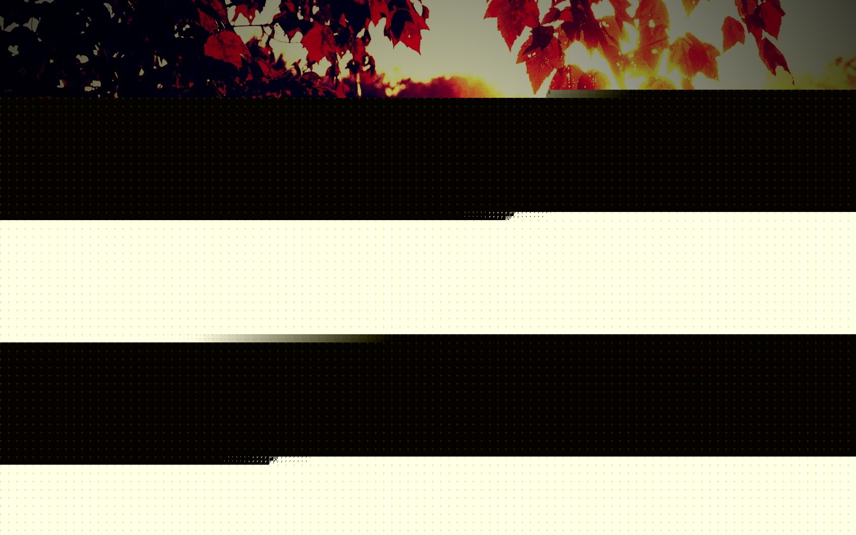 Осенний восход обои