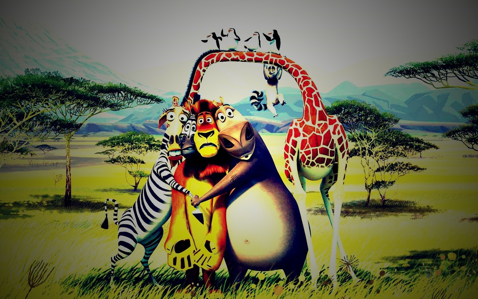 Герои мультфильма Мадагаскар обои