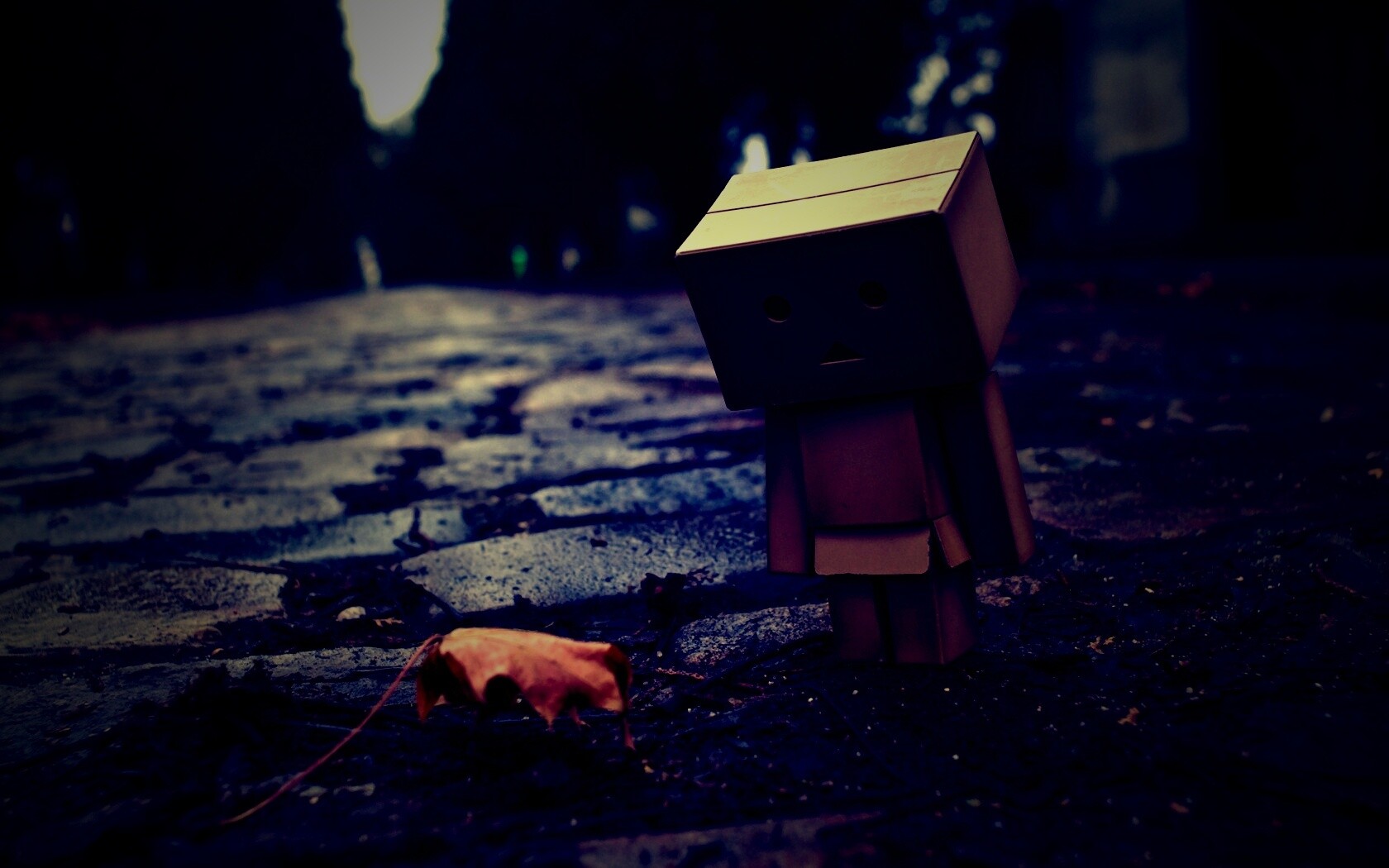 Danbo и первый осенний лист обои