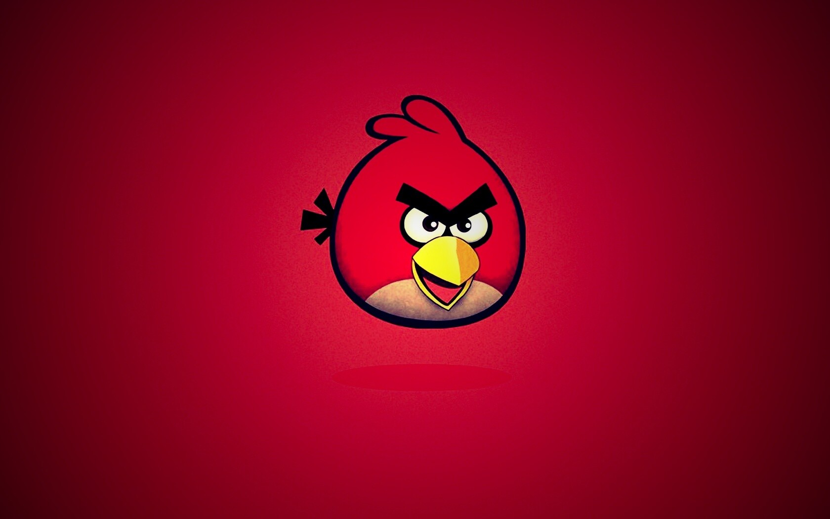 Красная птица из Angry Birds обои