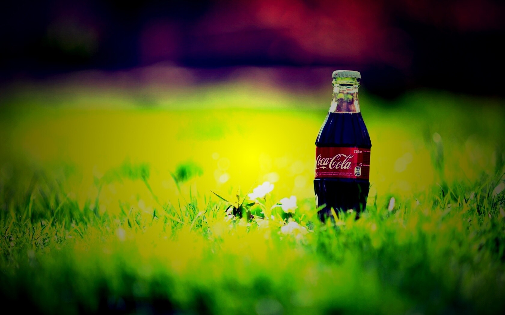 Кока-Кола на траве обои